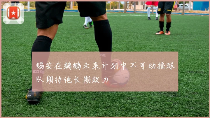 锡安在鹈鹕未来计划中不可动摇球队期待他长期效力
